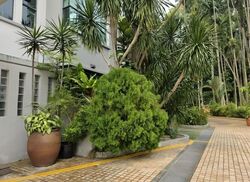Hilltop Grove (D23), Condominium #632463901